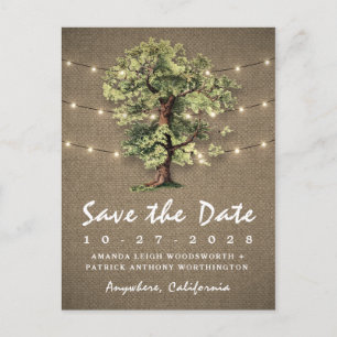 Vintage-Eichenbaum-Rustikale-Lichter Save The Date Ankündigungspostkarte