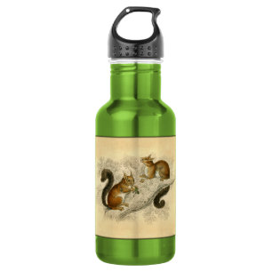 Vintage Eichhörnchen Druck Trinkflasche