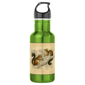 Vintage Eichhörnchen Druck Trinkflasche