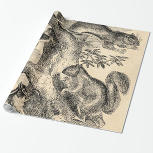 Vintage Eichhörnchen-Illustration 1800er Jahre - E Geschenkpapier