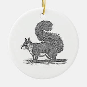 Vintage Eichhörnchen-Illustration - Eichhörnchen a Keramikornament