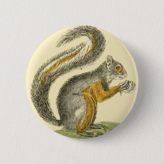 Vintage Eichhörnchen Knopf Button (Vorderseite)