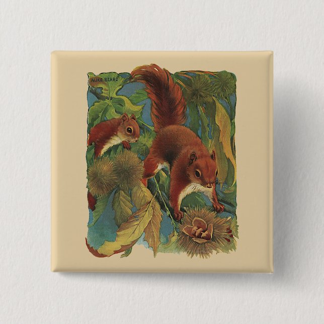 Vintage Eichhörnchen, Waldkreaturen, Wildtiere Button (Vorderseite)