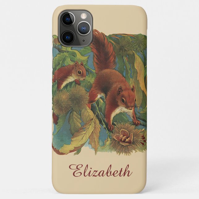 Vintage Eichhörnchen, Waldkreaturen, Wildtiere Case-Mate iPhone Hülle (Rückseite)