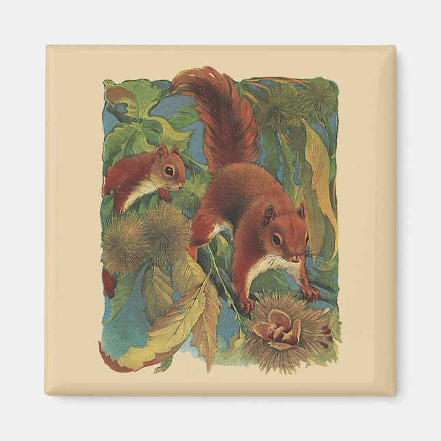 Vintage Eichhörnchen, Waldkreaturen, Wildtiere Magnet (Vorne)