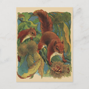 Vintage Eichhörnchen, Waldkreaturen, Wildtiere Postkarte