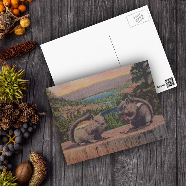 Vintage Eichhörnchengebirgslandschaft Postkarte (Two chipmunks eating nuts on tree stump in forest with lake on postcard.)