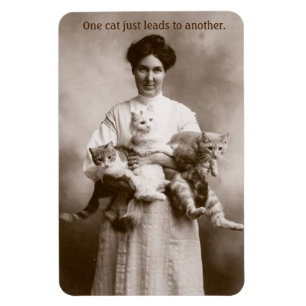 Vintage - Eine Katze führt zur nächsten, Magnet