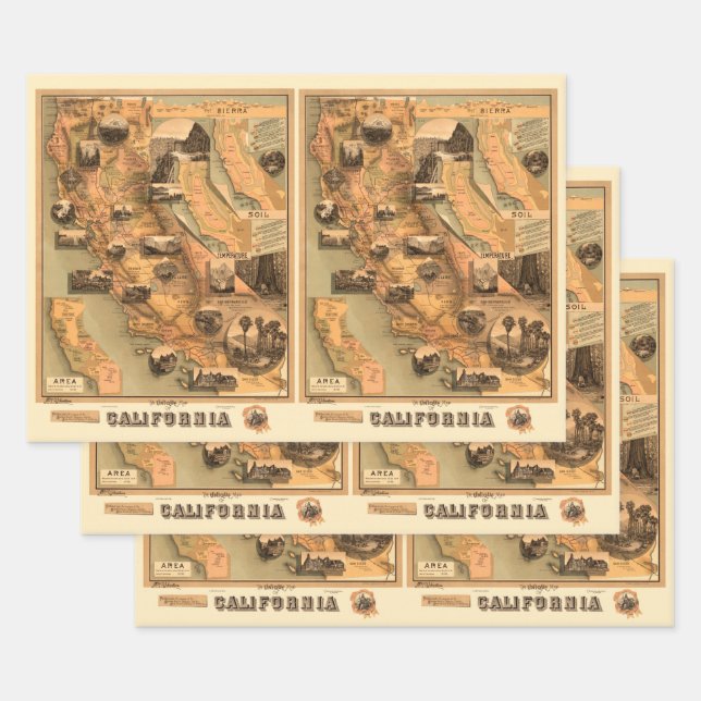 Vintage, einzigartige wiederhergestellte Karte von Geschenkpapier Set (Set)