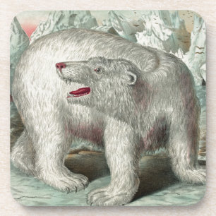 Vintage-Eisbereren auf Eisberg-Winterillustration Getränkeuntersetzer