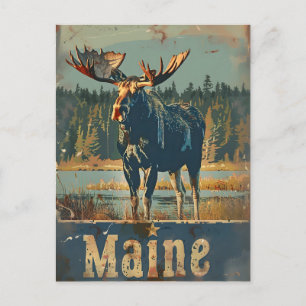 Vintage-Elch aus Maine Postkarte
