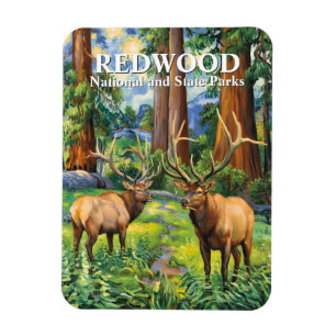 Vintage-Elch-Rotwald-Kalifornien-Wald-Ölgemälde Magnet