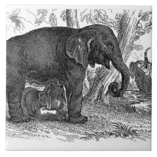 Vintage Elefant Heim Bürodekor Fliese