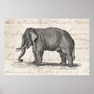 Vintage Elephant Illustration der 1800er Jahre - E Poster