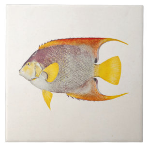 Vintage Engel-Fisch Antikes Hawaiianisches Druckte Fliese