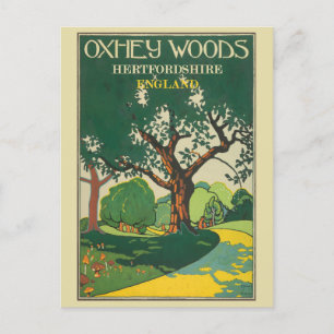 Vintage England Hertfordshire Oxhey Woods Reise Postkarte