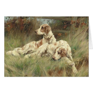 Vintage - Englische Setter-Hunde im Feld,