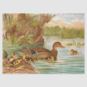 Vintage Enten am Teich 2 Decoupage Seidenpapier