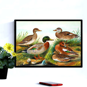 Vintage Enten am Teich 3 Poster
