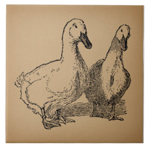 Vintage-Entenkunst Zwei Enten Illustration Fliese