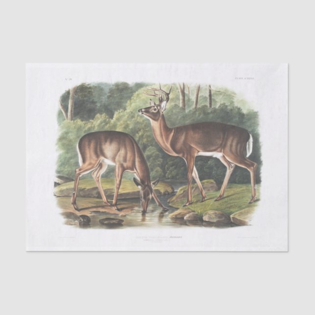 Vintage Entkundung von Hirschen Seidenpapier (Vorderseite)