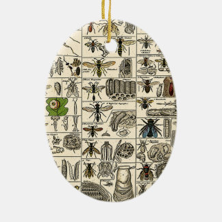 Vintage Entomologie Keramik Ornament