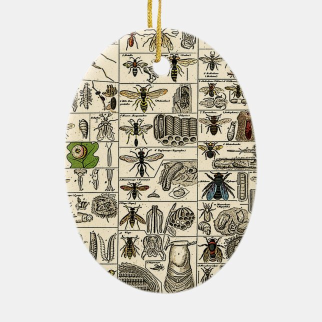 Vintage Entomologie Keramik Ornament (Hinten)