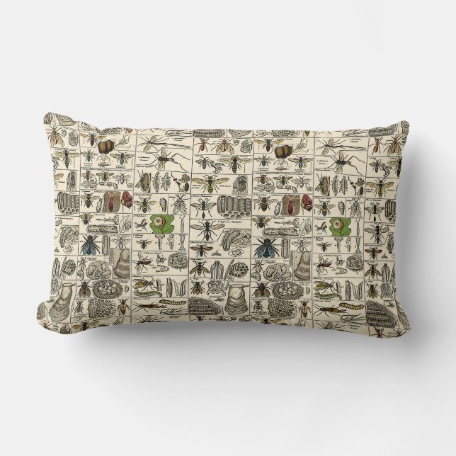 Vintage Entomologie Lendenkissen (Vorderseite)