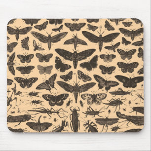 Vintage Entomologie Mousepad