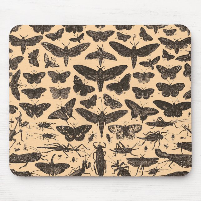 Vintage Entomologie Mousepad (Vorne)