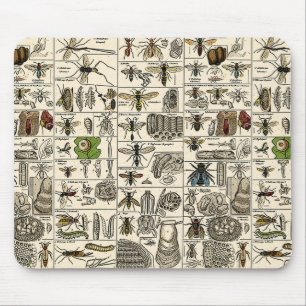 Vintage Entomologie Mousepad