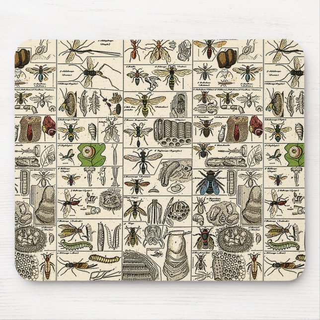 Vintage Entomologie Mousepad (Vorne)