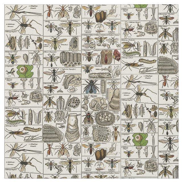 Vintage Entomologie Stoff (Nahaufnahme)