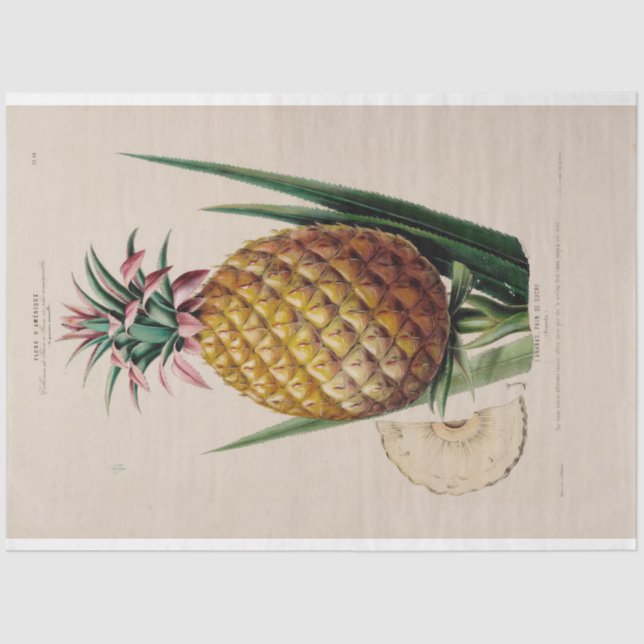 Vintage Ephemera-Ananas Seidenpapier (Vorderseite)