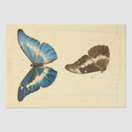 Vintage Ephemera Script Blue Butterfly Decoupage Seidenpapier