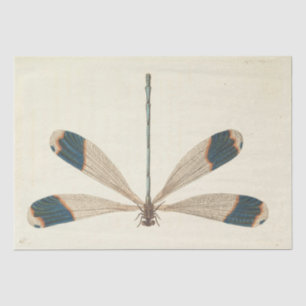 Vintage Ephemera Script Dragonfly Decoupage Seidenpapier