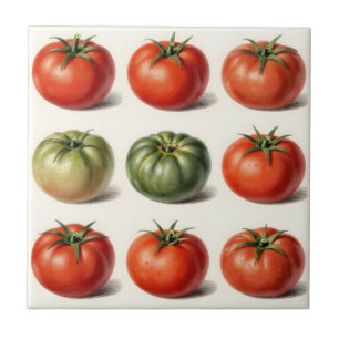 Vintage-Erbstück-Tomaten-Vielfalt-Botanikraster Fliese