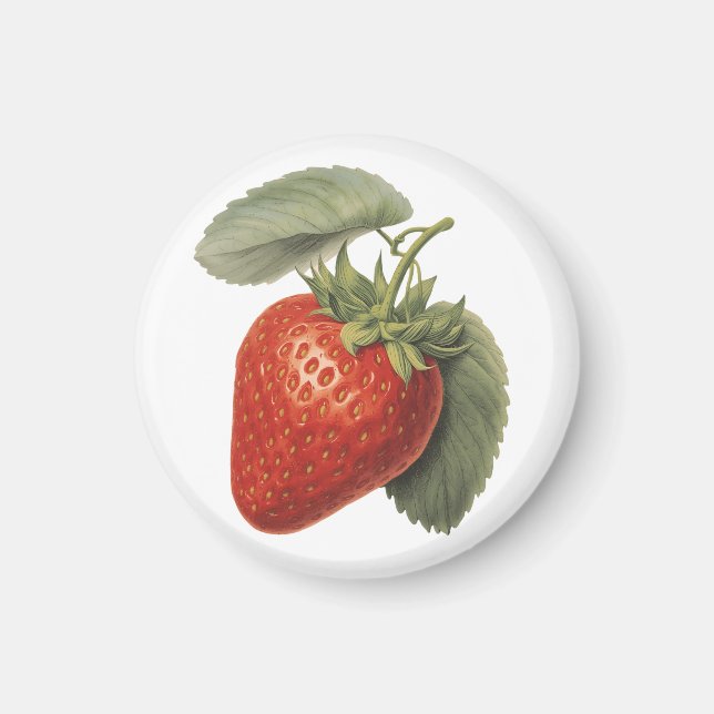 Vintage Erdbeere  Magnet (Vorne)