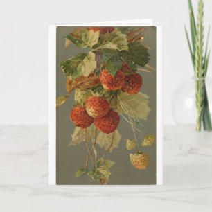 Vintage - Erdbeeren am Weinstock, Karte