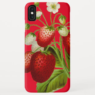 Vintage Erdbeeren Botanische Illustration Case-Mate iPhone Hülle