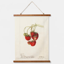 Vintage Erdbeeren Zeichnend Art