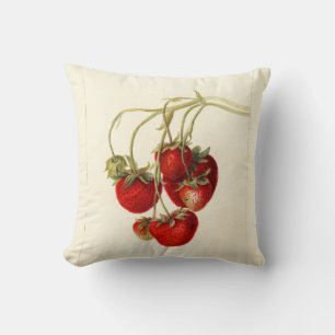 Vintage-Erdbeeren-Zeichnung Kunst Kissen