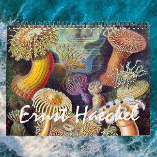 Vintage Ernst Haeckel, Biologie, Botanik, Wissensc Kalender