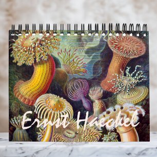 Vintage Ernst Haeckel, Biologie, Botanik, Wissensc Kalender