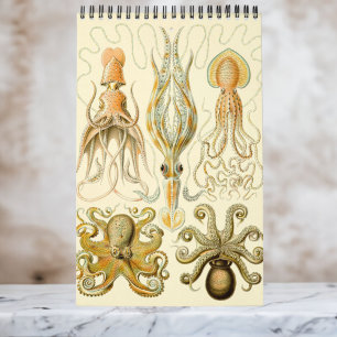 Vintage Ernst Haeckel, Biologie, Botanik, Wissensc Kalender