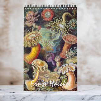Vintage Ernst Haeckel, Biologie, Botanik, Wissensc Kalender
