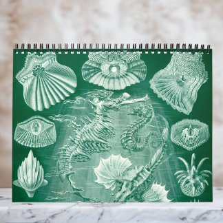 Vintage Ernst Haeckel, Biologie, Botanik, Wissensc Kalender