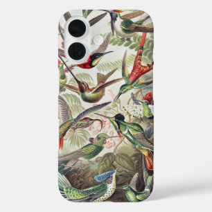 Vintage Ernst Haeckel Farbposter Kolibri iPhone 16 Hülle