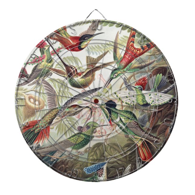 Vintage Ernst Haeckel Farbposter Kolibri Dartscheibe (vorne)