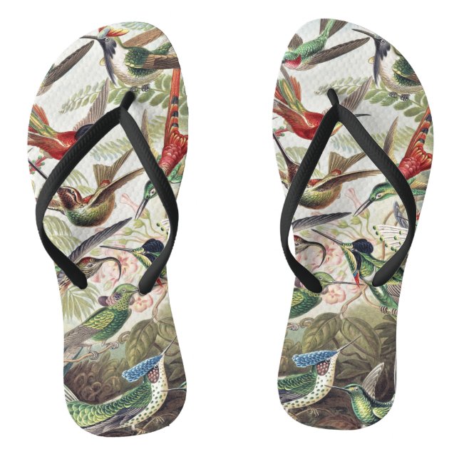 Vintage Ernst Haeckel Farbposter Kolibri Flip Flops (Fußbett)